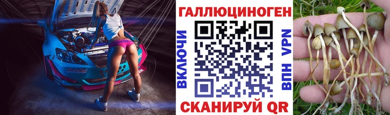 Псилоцибиновые грибы GOLDEN TEACHER  Лебедянь 